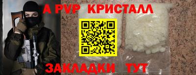 прущие грибы Гусиноозёрск