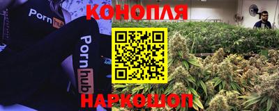 прущие грибы Гусиноозёрск